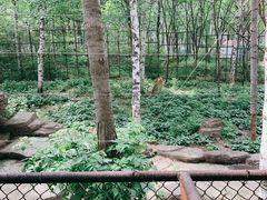 -哈尔滨北方森林动物园