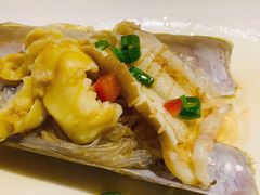 象鼻蚌-綱元·海鲜豆捞(明州里店)