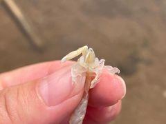 -金梦海湾浴场