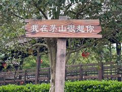 -句容茅山景区