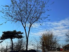 -白水寺森林公园