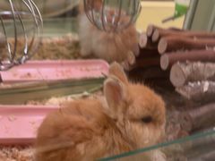 -龙猫仔乐园(惠福东路店)