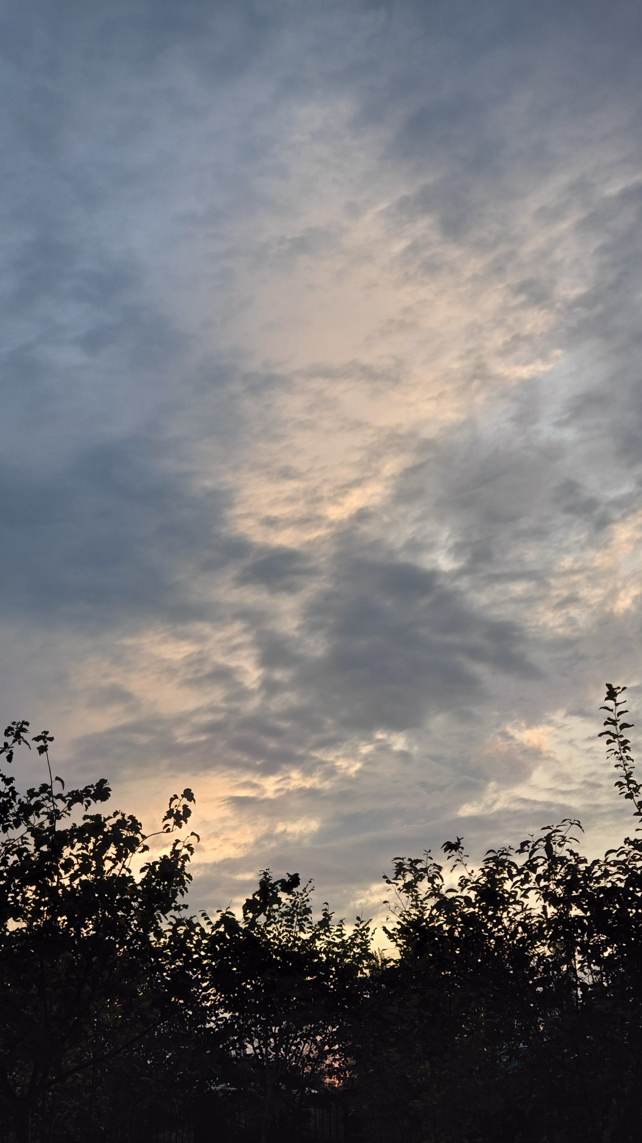 傍晚的天空色彩斑斓