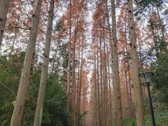 -上海怡沁园度假酒店