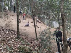 -上海佘山国家森林公园天马山园