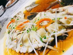 招牌鲈鱼-顺香居·老字号湖北菜(江汉路店)