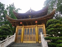 -上海东林寺(金山区)