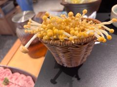 -季季山·云南野生菌火锅(上海首店)