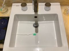 -芽庄喜来登水疗酒店