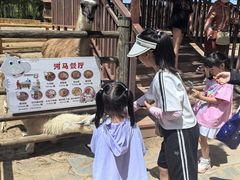 -鄂尔多斯野生动物园