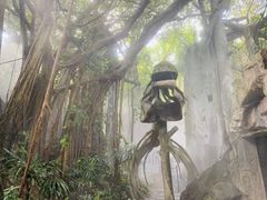 -青青世界