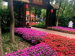 -艾溪湖湿地公园