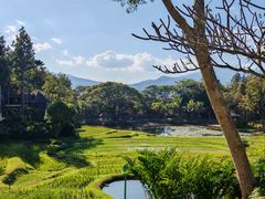 -四季酒店下午茶