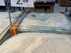 -沃尔玛购物广场(南城印象汇店)
