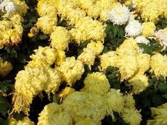 iphone_upload_pic-迎泽公园