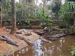 -海南热带野生动植物园