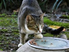 -苏州河梦清园环保主题公园