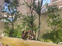 -大可泥炉烤肉(中街店)