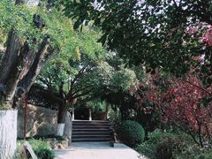 -石老人观光园