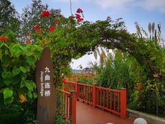 -芒洲湿地公园