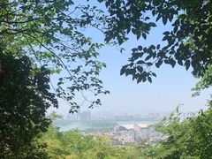 -紫金山山顶公园