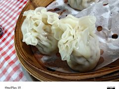 -百年老字号·马家烧麦馆(中街店)