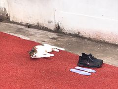-上海理工大学(复兴路校区)