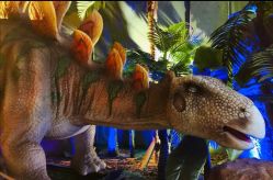 -恐龙探索乐园(磁器口店)