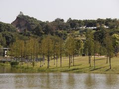 -东莞植物园