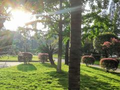 -四川大学(华西校区)