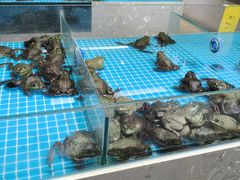 -城市名人壹超市(万达店)