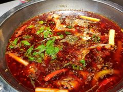 红锅锅底-蜀滋香鲜鱼美蛙火锅(339店)
