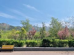 -良友书坊(安徽路店)