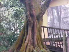 -重庆抗战遗址博物馆