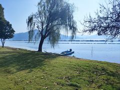 -上海市保健医疗中心