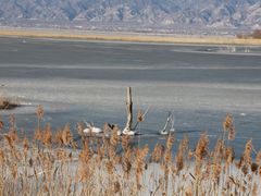 -野鸭湖国家湿地公园