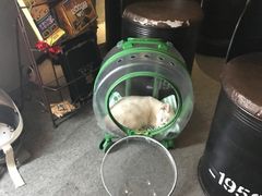 -奇门密室(五一新干线店)