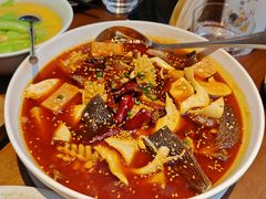 青椒毛血旺-吴氏荟THEWOO'S·精致川菜
