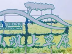 -恋山坝上草原