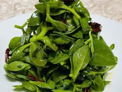 -全聚德烤鸭店(准噶尔路店)