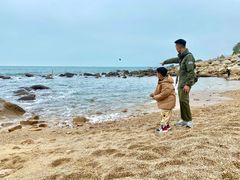-广东惠东海龟国家级自然保护区