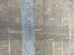 -大塘金香草谷