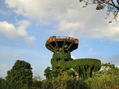 -芒洲湿地公园