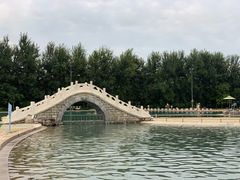 -柳浪游泳场