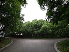 -同里国家湿地公园