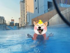 -嘉佑温泉水世界