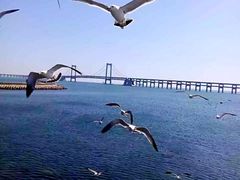 -星海湾跨海大桥