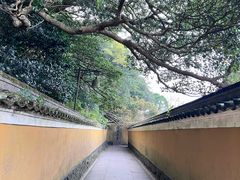 -普陀山慧济禅寺