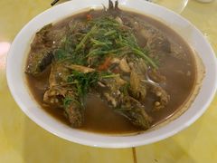 红烧昂刺鱼-杨辉饭店