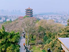 -黄鹤楼公园(黄鹤楼)